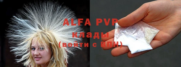 прущие грибы Алзамай