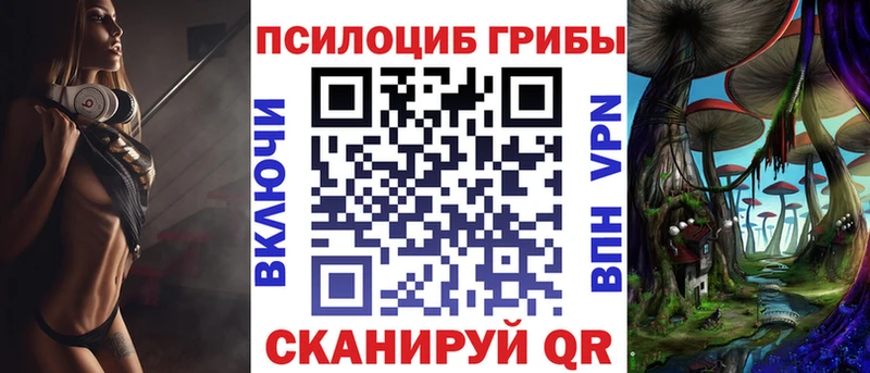 Псилоцибиновые грибы Psilocybe  где продают наркотики  кракен ССЫЛКА  Арамиль 
